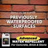 ChimneyRx Advanced Water Repellent - Clear Sealer for Masonry Surfaces
