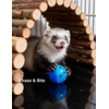 HEUHAI 10-Pack Ferret Bell Ball Toys, Non-Toxic PP, Hollow Chew
