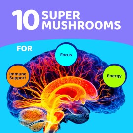 Gomitas De Hongos Gusevit - 10 Super Hongos, 60 Unidades