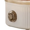 Egg Steaming Device Electric Auto Shut Off Cooker Mini Multi