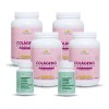A&g Persea Pack 4 Colágeno Hidrolizado 1.2 Kg-2 Detox Sabor