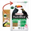 NutriBird Tropical Fruit Patee 1 kg