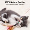 1 pc nteractive Cat Toy Training, 2 Feather