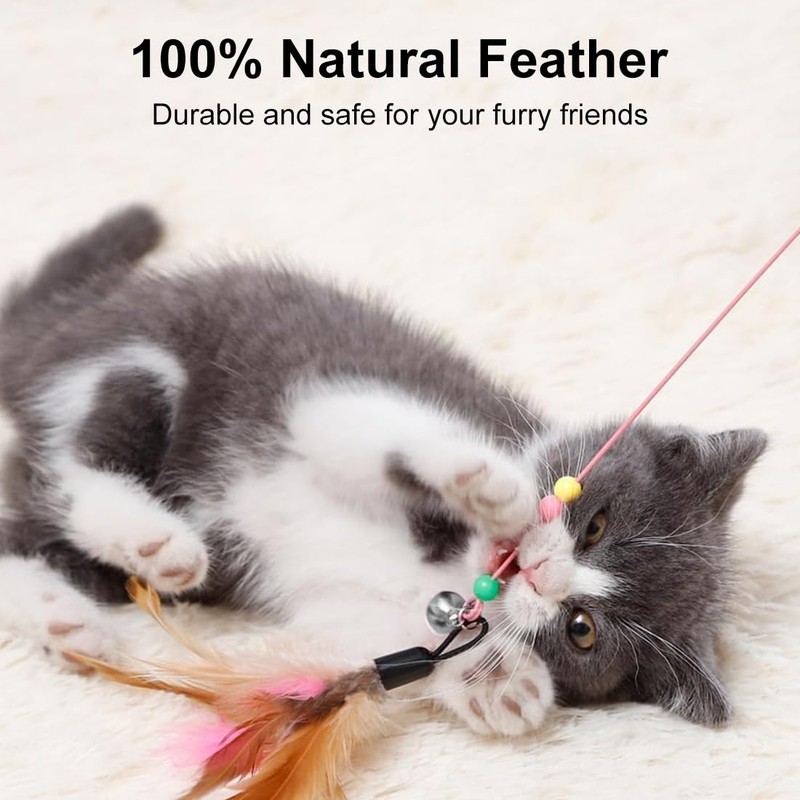 1 pc nteractive Cat Toy Training, 2 Feather