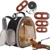 Bearded Dragon Travel Backpack with Harness and Leash Set,Lizard Backpack