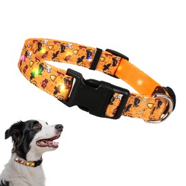 Halloween Light Up Dog Collar, LED Dog Collar Glow in The Dark - USBC Rechargeable, 3 Flashing Modes, Fashionable Cute Glowing Dog Light Up Collars for Medium Large Dogs, L