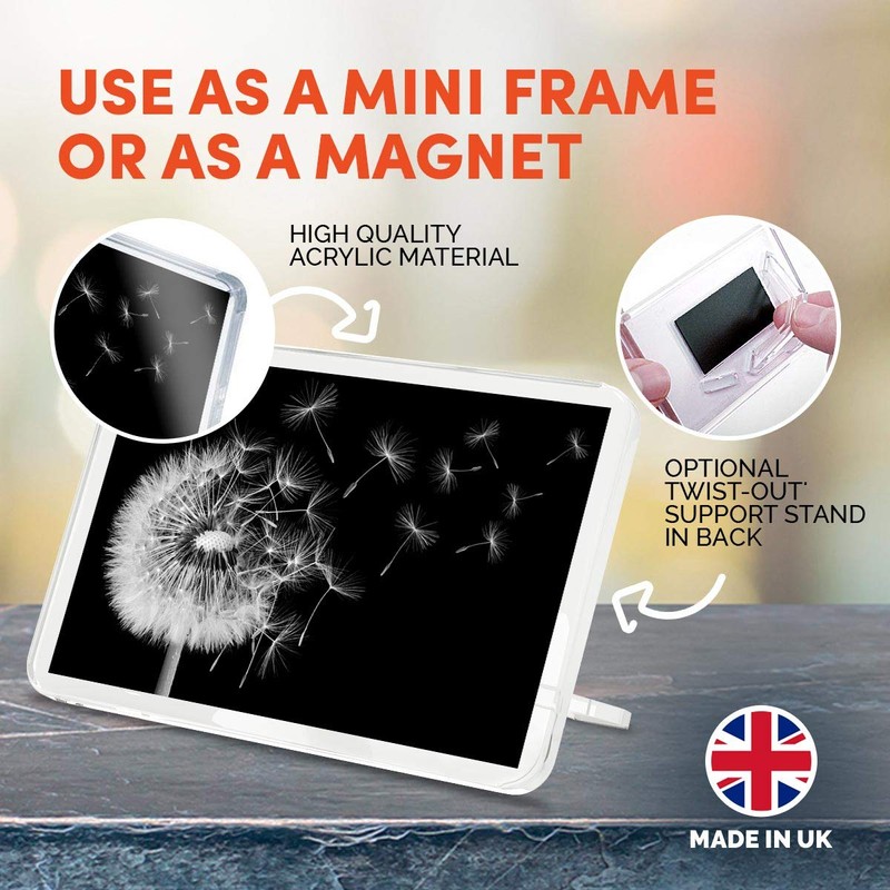 1 x Fridge Magnet - Dandelion Plant #39655