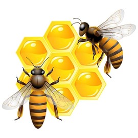 Honeycomb Bee Vinyl Car Window Decals – Waterproof Removable Bumper Sticker 2-Pack, Cute Bee and Hive Design for Laptops, Vehicles, and Water Bottles#B074