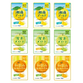 Kaneka Foods Gummy Assortment with Lactic Acid Bacteria (Shonan Gold, Atsumi Melon, Wakayama Unshu Mandarin), 1.4 oz (40 g) x 9 Bags, Popular, Large Capacity