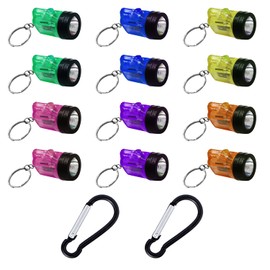 12 Pcs Mini Flashlight Keychain Torch Mini Lamp Practical Toy for Kids Suitable for Outdoor and Night Emergency with 2 Pcs Black Carabiners