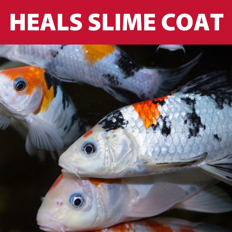 The Pond Guy Pond Salt - 10 Pounds