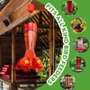 GlaRid Large Ant Moat for Hummingbird Feeders, 4 Pack Red