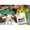 RESCUE! VisiLure® TrapStik for Wasps, Mud Daubers, Carpenter Bees –