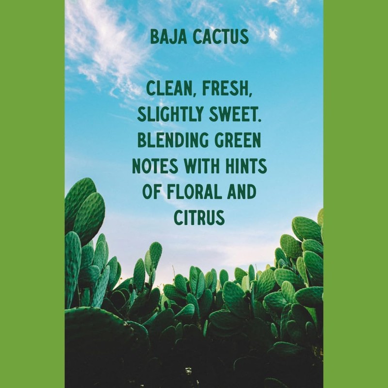 Buyitshipit - Baja Cactus from Our Spa Collection - Perfect