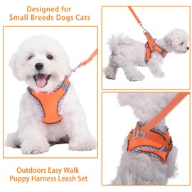 PETPUBGNZS Cute Plaid No Pull Dog Harness for Small Dogs Soft Mesh Small Dog Harness and Leash Set Easy Walk Step in Puppy Harness Vest Pet Cat Chihuahua Yorkie Shih Tzu Dog Harnesses (Orange,XXS)