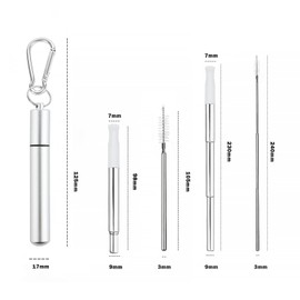 Foweroty Metal Straws Reusable，Collapsible Stainless Steel Straw，Cruise Ship Essentials，Equipped with Silicone Straw Tip，Cleaning Brush and Keychain，Easy to Carry and Clean（Silver）