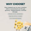 Myprotein Creatine Gummies - 3g per Serving - Electrolyte Enhanced