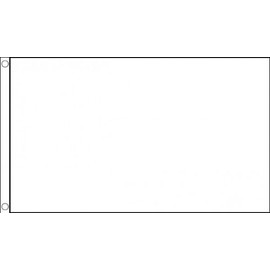 AZ FLAG Race Officer White Flag 2' x 3' - Racing Flags 60 x 90 cm - Banner 2x3 ft