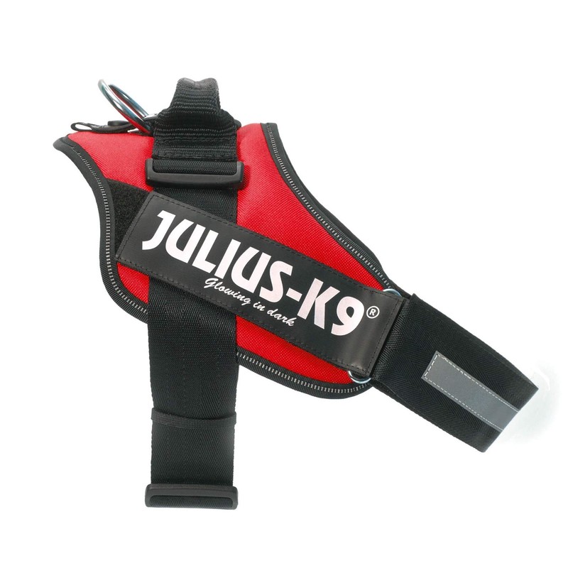 Julius-K9 IDC Powerharness for dogs