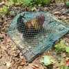 Pigeon Bird Trap Trapping Chicken Quail 2 Pack Spring Starling