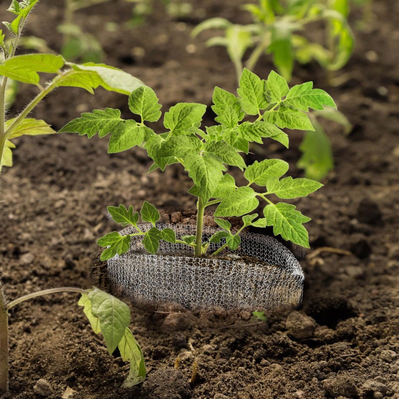 Aulock 1 Gallon Plant Root Protector for Gopher Voles Moles,