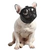 Short Snout Dog Muzzle Bulldog Muzzle Adjustable Breathable Mesh for