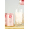 AmishTastes Frannie’s Sparkling Pink Pomelo Paloma, Protected With High-Density Foam,