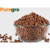 Puregro Kala Chana 500g