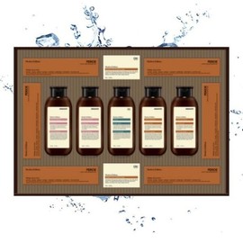 LG Household & Health Care Premium Modern Edition Best Gift Set / LG생활건강 프리미엄 모던 에디션 베스트 선물세트 X 1 TB - 1개 단일