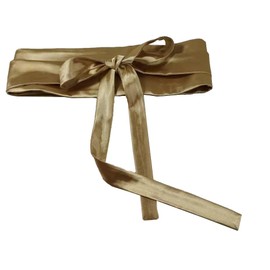 laelinggt Women's Belt Wide All-Match Strap Imitation Silk Golden Black Tie Lace-up Waist Cover for Dress (golden)