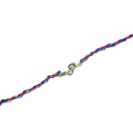 Generic Handcrafted Rakhee with Krishna Flute and Peacock Feather Charm for Raksha Bandhan - Extra Long Red, Blue, and Gold Thread Bracelet (25+ inches), Large, various, BE001