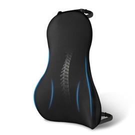 Ainiv Universal Memory Foam Lumbar Support for Car, Ergonomic Lumbar Support Cushion, Car Back Support for Drivers Seat with Adjustable Straps, Car Seat Cushion For Lower Back and Head Fatigue