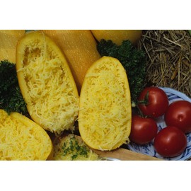 SeedsUP - 30+ Seeds Zucchini Spaghetti - Vegetable Yellow