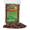 Gardenera Kalanchoe Plant Premium Potting Mix - Optimize Growth with