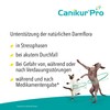 Canikur Pro Paste 60ml
