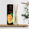 Citrus Reed Diffuser 3.4 Fl Oz (100ml) Room - Fragrance