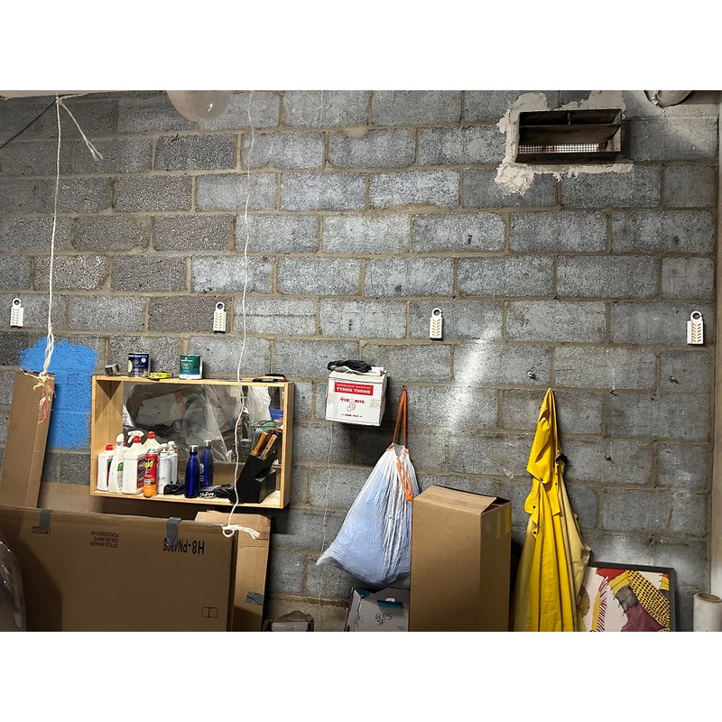 Strip Clip for Fruit Fly BarPro - Applied to Walls,