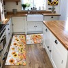 Fall Kitchen Rugs Set of 2,Fall Entrance Door Mat Pumpkin