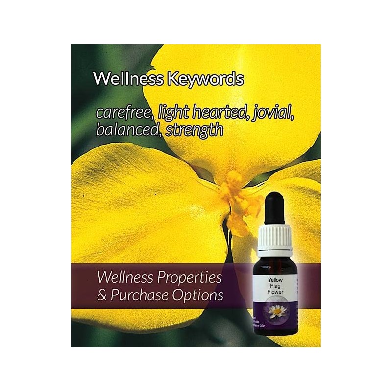 Living Essences Yellow Flag Flower Essence 100 ml