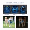 leconpet Step in Dog Harness, Vest Harness and Leash Set