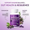 Elderberry - EIvera Gut Support Complex, 3-in-1 Gut Support Complex
