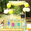 THE KING HIS QUEEN Lemonade Stand Supplies 50 Pcs Lemonade