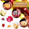Roysmart Apple Slicer, Stainless Steel, 8 Blades, Apple Slicer for