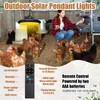 Grinsvalley 2 in 1 Solar Chicken Coop Light with Timer