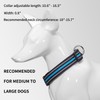 QUETTO Nylon Dog Collars Double Security Adjustable Classic Pet Collars