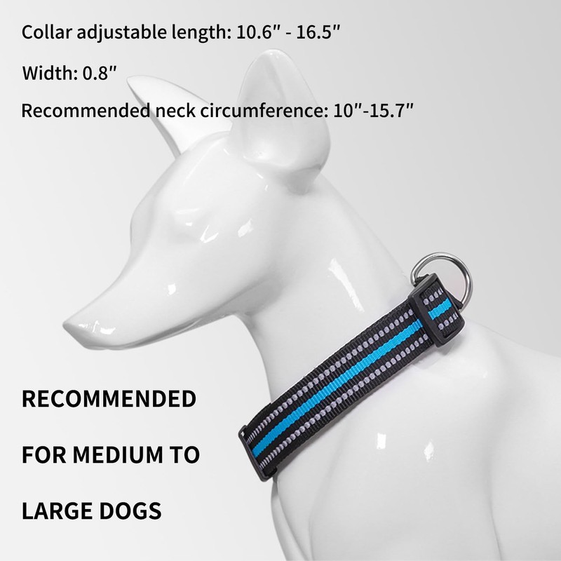 QUETTO Nylon Dog Collars Double Security Adjustable Classic Pet Collars