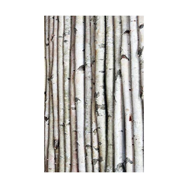 Decorative Birch Poles 6ft (4 Poles 1 1/2"-2 1/2" Dia.)