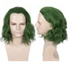 Linfairy joker Cosplay Wig, Wig, Costume, Disguise Wig, Dedicated Net