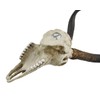 Veronese Design African Kudu Antelope Skull Wall Hanging Cool Twisted