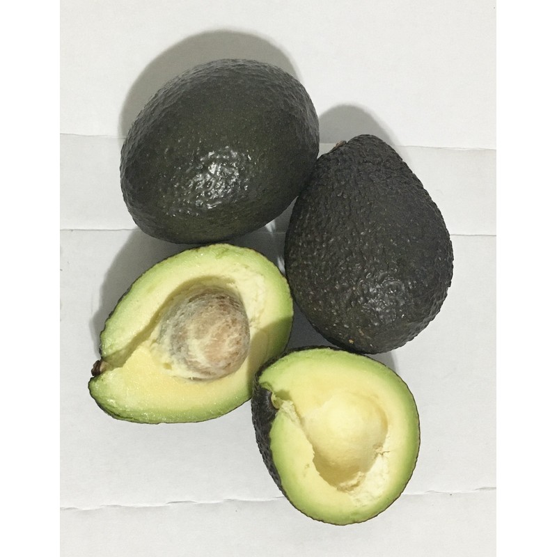 3 Pounds Fresh Hass Avocado